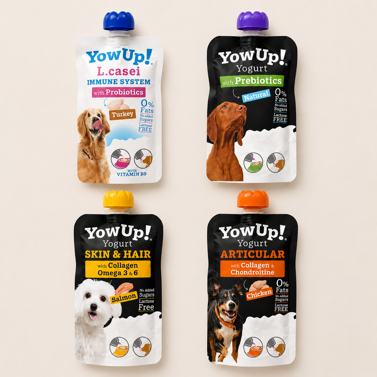 Pack Découverte Yaourt à Boire YowUp