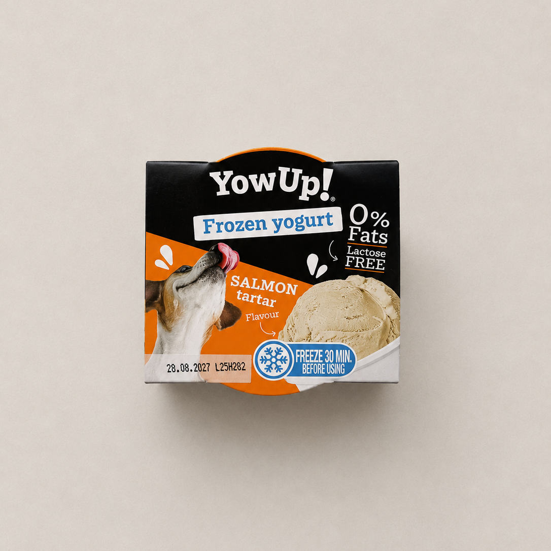 Yaourt Glacé YowUp Tartare de Saumon