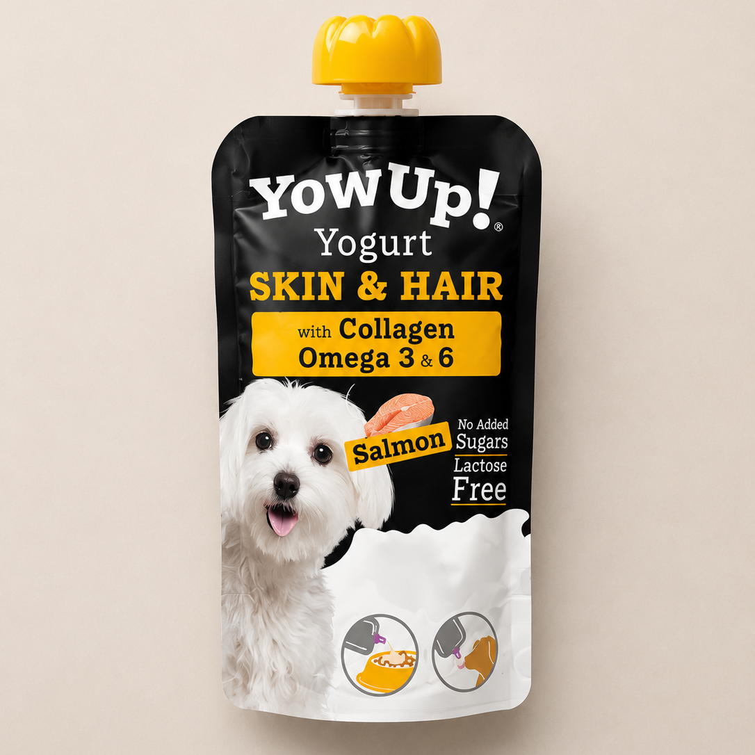 Yaourt à boire YowUp Skin & Hair - Saveur Saumon