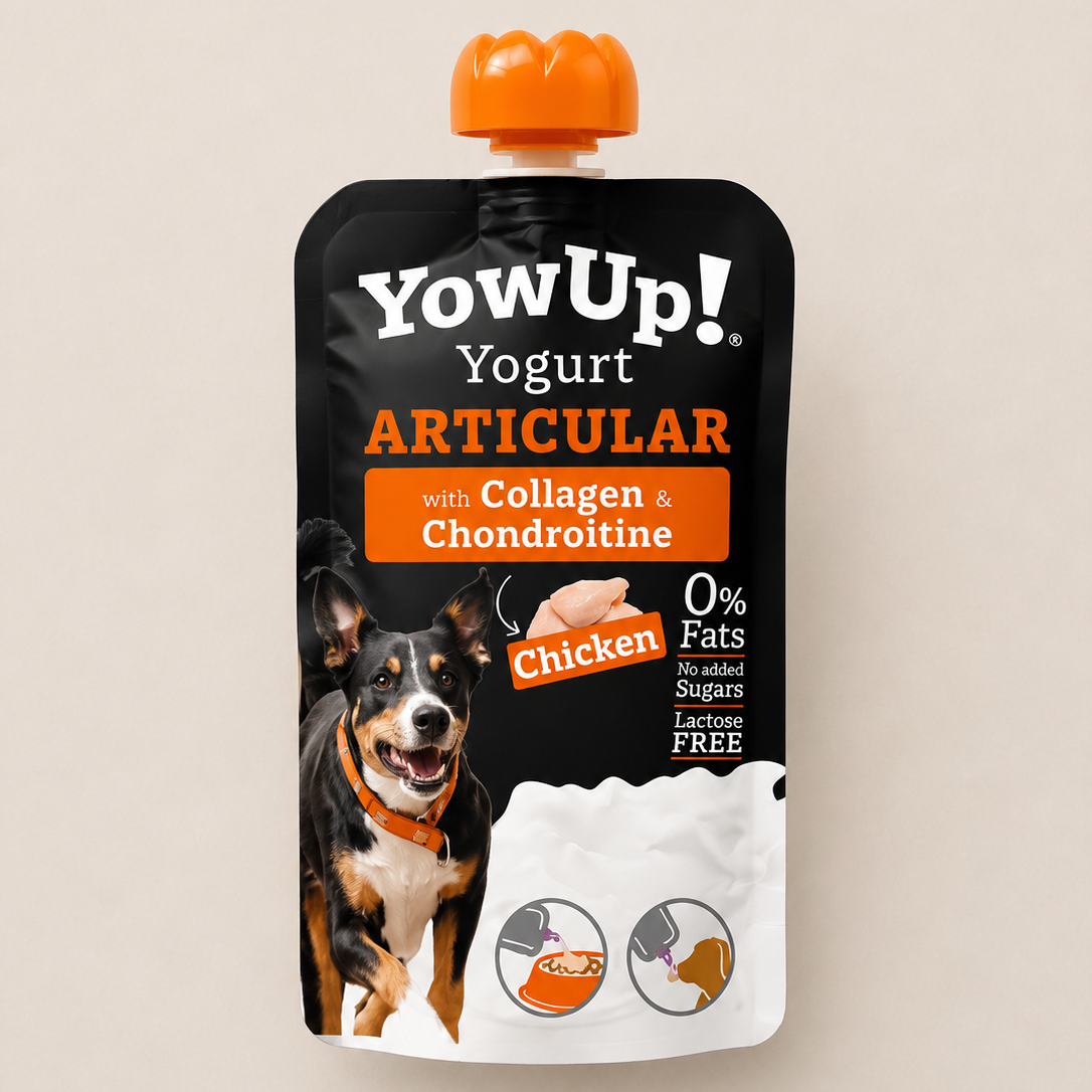 Yaourt à boire YowUp Articular - Saveur Poulet