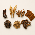 Box Chiot Mastications et Friandises