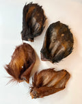 Oreille de Boeuf avec poils