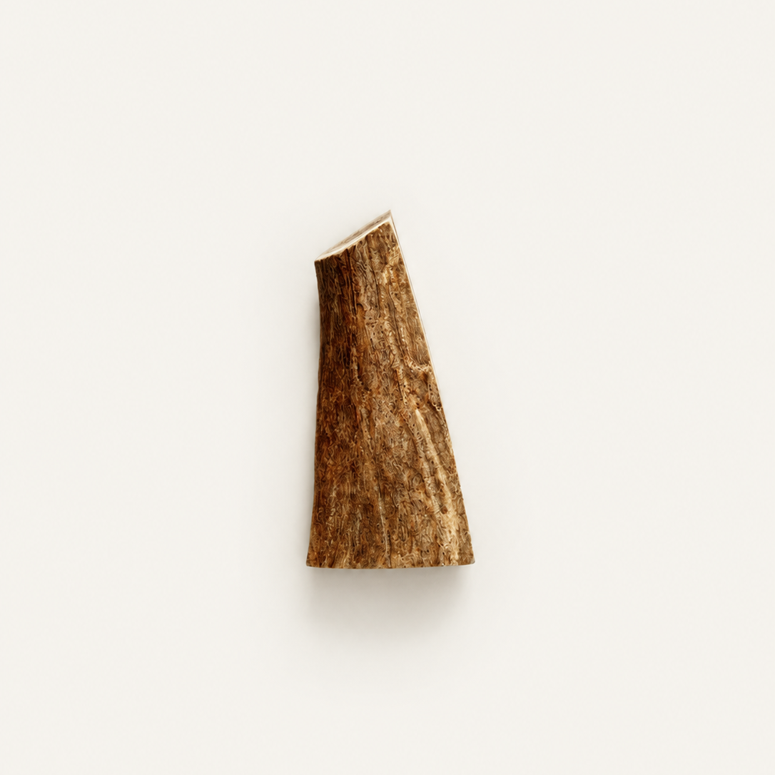 Bois de Daim