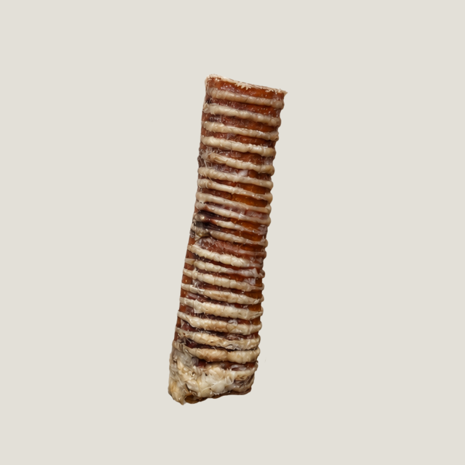 Trachée de Boeuf L - 15cm